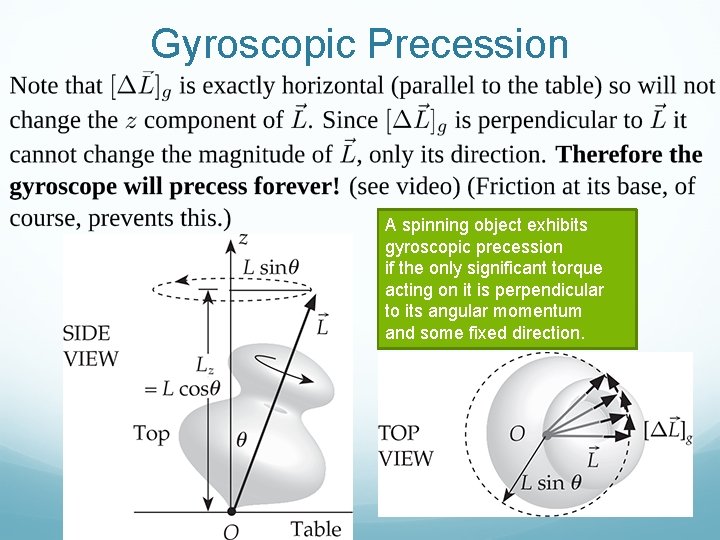 Gyroscopic Precession A spinning object exhibits gyroscopic precession if the only significant torque acting