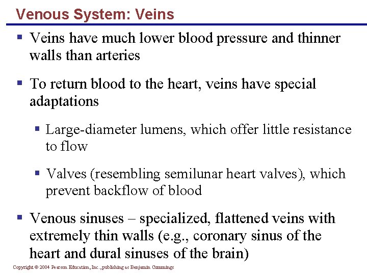 Venous System: Veins § Veins have much lower blood pressure and thinner walls than