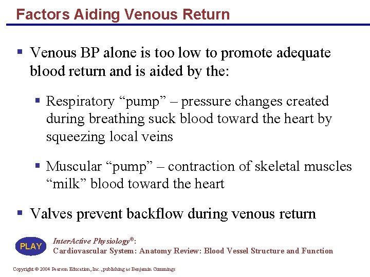 Factors Aiding Venous Return § Venous BP alone is too low to promote adequate