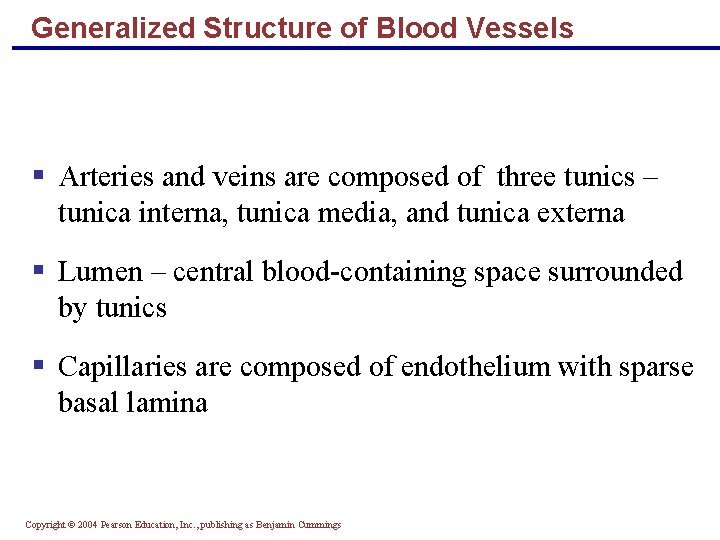 Generalized Structure of Blood Vessels § Arteries and veins are composed of three tunics