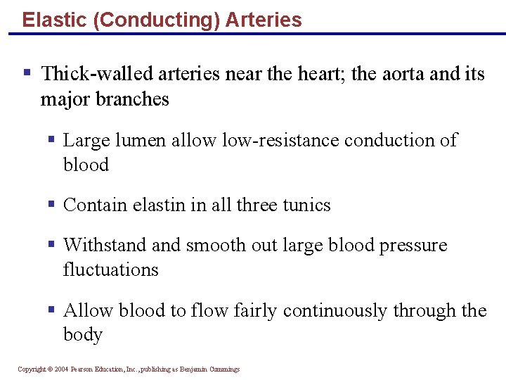 Elastic (Conducting) Arteries § Thick-walled arteries near the heart; the aorta and its major