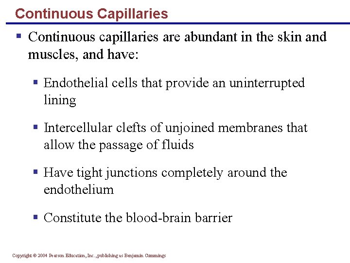 Continuous Capillaries § Continuous capillaries are abundant in the skin and muscles, and have: