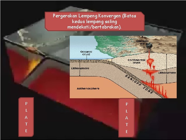 Pergerakan Lempeng Konvergen (Batas kedua lempeng saling mendekati/bertabrakan). P L A T E Pergerakan Lempeng Konvergen (Batas kedua lempeng saling mendekati/bertabrakan). P L A T E