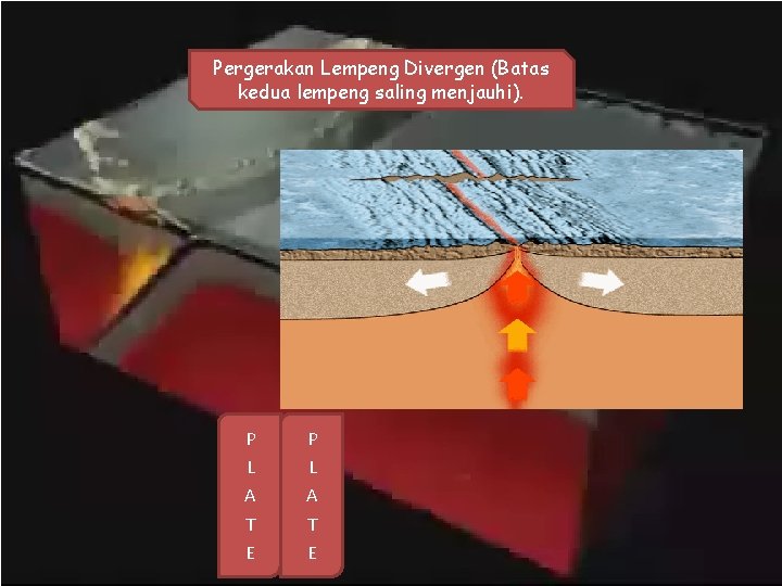 Pergerakan Lempeng Divergen (Batas kedua lempeng saling menjauhi). P L A T E 