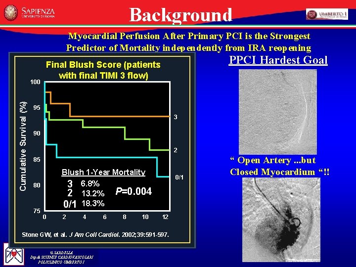 Background Myocardial Perfusion After Primary PCI is the Strongest Predictor of Mortality independently from