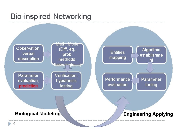 Bio-inspired Networking Observation, verbal description Parameter evaluation, prediction Math. Model (Diff. eq. , prob.