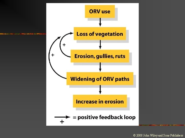 © 2008 John Wiley and Sons Publishers 