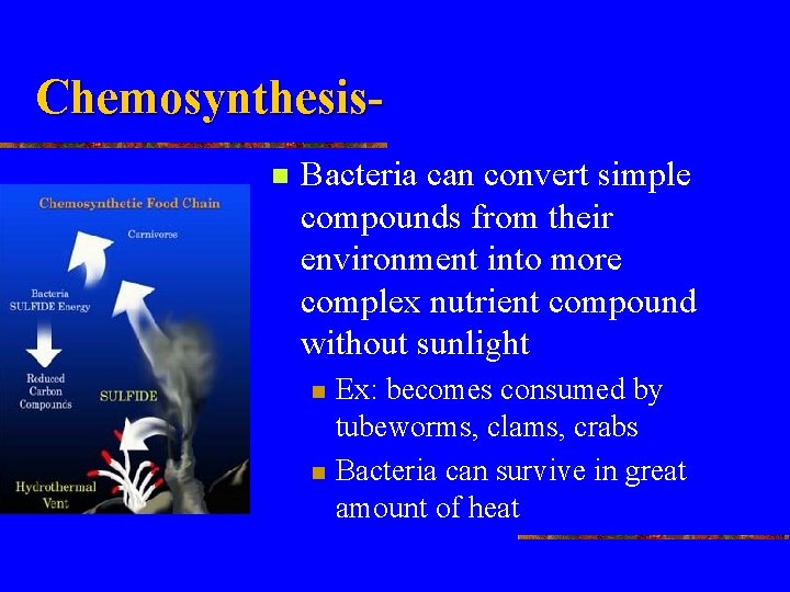 Chemosynthesisn Bacteria can convert simple compounds from their environment into more complex nutrient compound