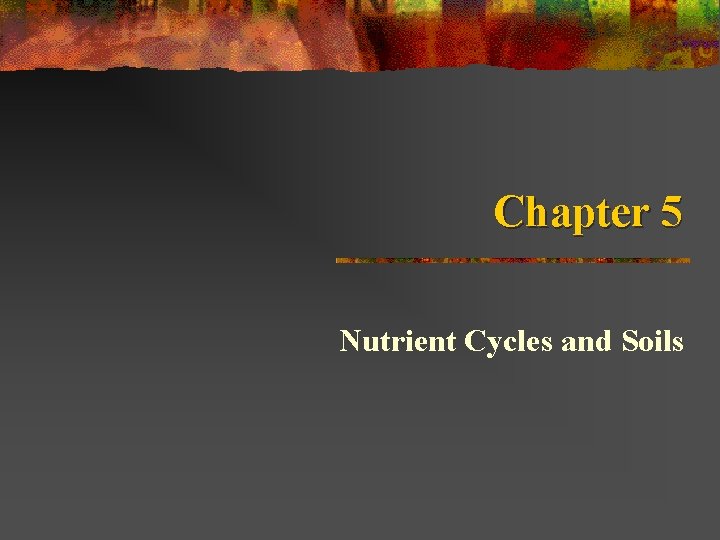 Chapter 5 Nutrient Cycles and Soils 