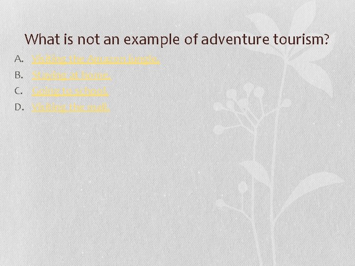 What is not an example of adventure tourism? A. B. C. D. Visiting the