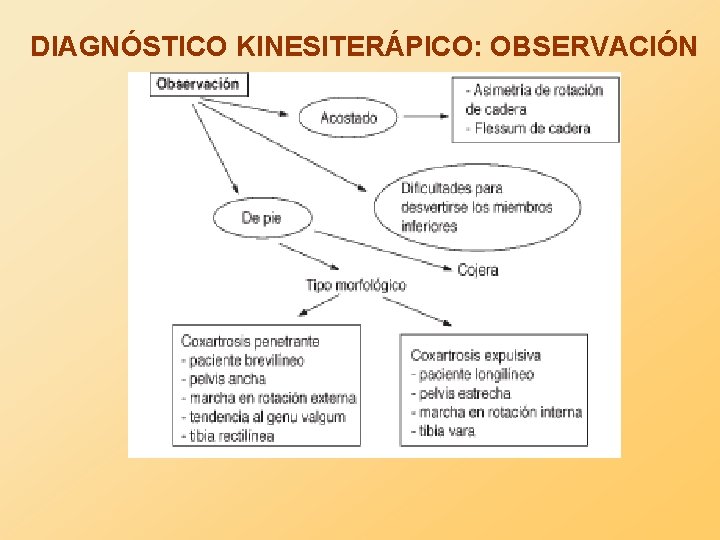 DIAGNÓSTICO KINESITERÁPICO: OBSERVACIÓN 