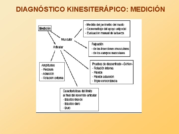 DIAGNÓSTICO KINESITERÁPICO: MEDICIÓN 