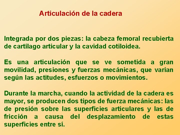 Articulación de la cadera Integrada por dos piezas: la cabeza femoral recubierta de cartílago