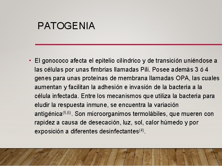 PATOGENIA • El gonococo afecta el epitelio cilíndrico y de transición uniéndose a las