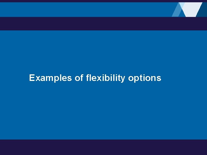 Examples of flexibility options 