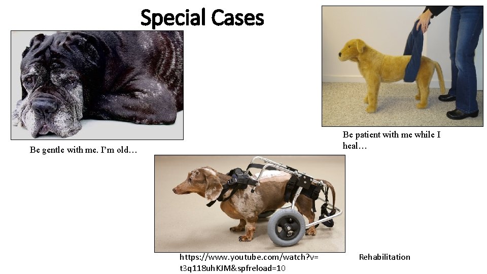 Special Cases Be patient with me while I heal… Be gentle with me. I’m