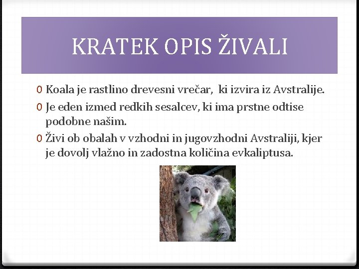KRATEK OPIS ŽIVALI 0 Koala je rastlino drevesni vrečar, ki izvira iz Avstralije. 0