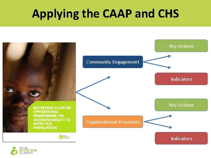Applying the CAAP and CHS Key Actions Community Engagement Indicators Key Actions Organizational Processes