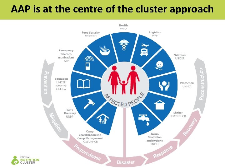 AAP is at the centre of the cluster approach 