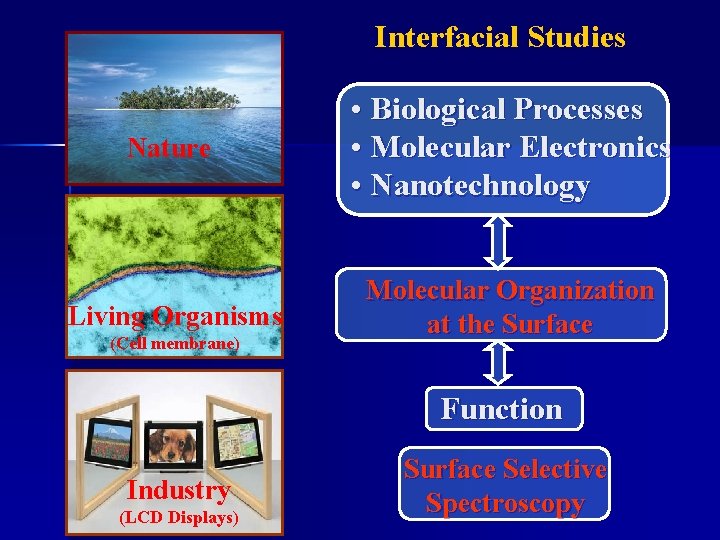 Interfacial Studies Nature • Biological Processes • Molecular Electronics • Nanotechnology Living Organisms Molecular