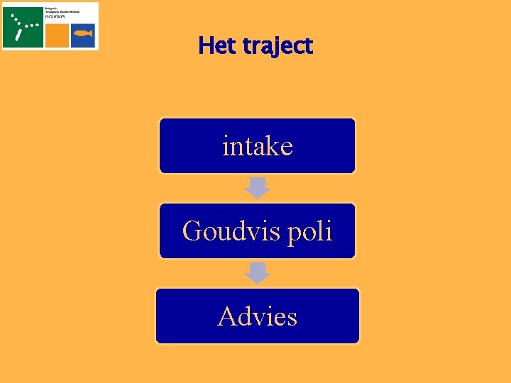Het traject intake Goudvis poli Advies 