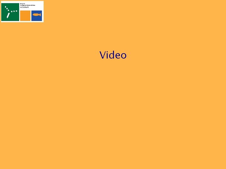 Video 