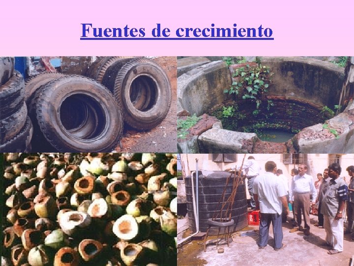 Fuentes de crecimiento 