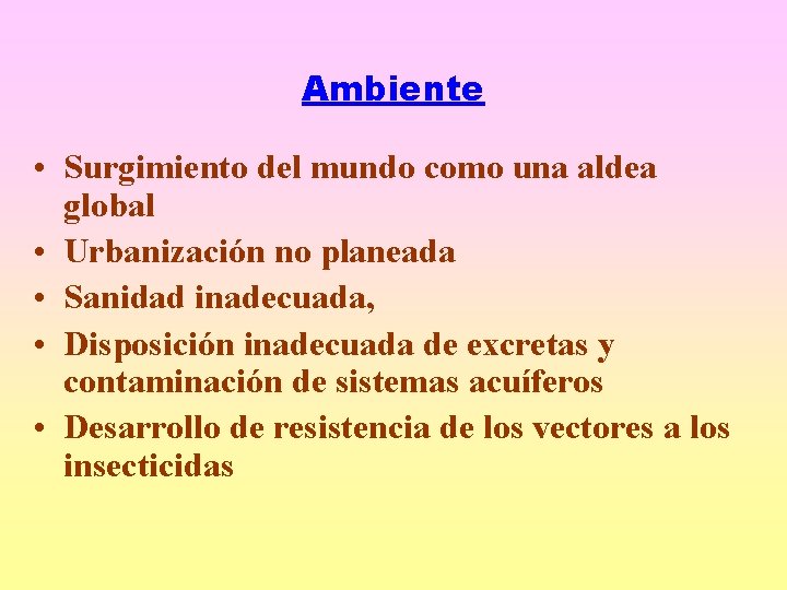 Ambiente • Surgimiento del mundo como una aldea global • Urbanización no planeada •