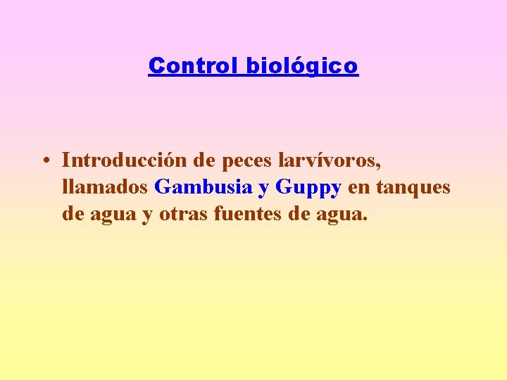 Control biológico • Introducción de peces larvívoros, llamados Gambusia y Guppy en tanques de