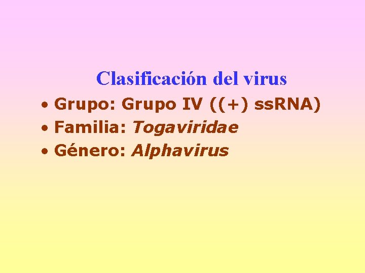 Clasificación del virus • Grupo: Grupo IV ((+) ss. RNA) • Familia: Togaviridae •