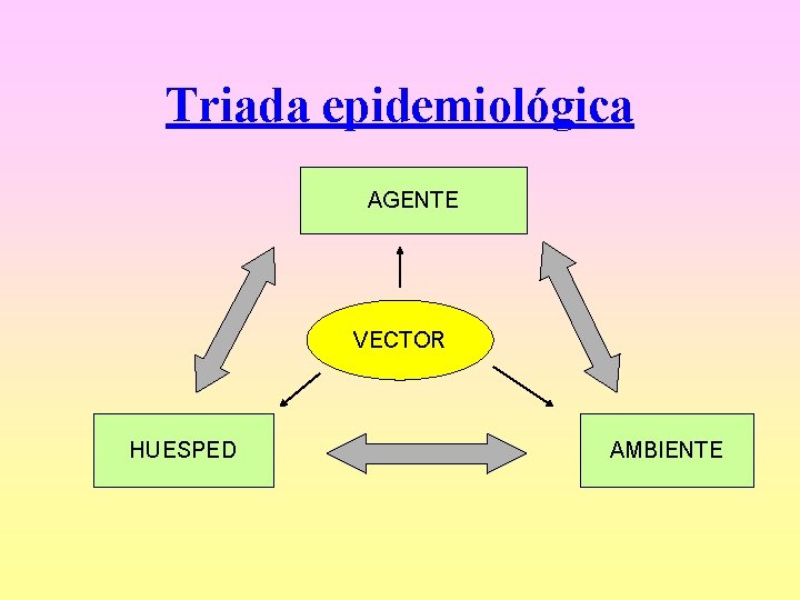 Triada epidemiológica AGENTE VECTOR HUESPED AMBIENTE 