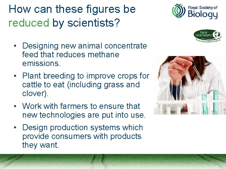 How can these figures be reduced by scientists? • Designing new animal concentrate feed