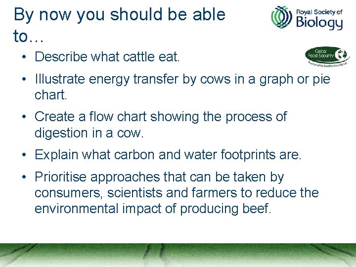 By now you should be able to… • Describe what cattle eat. • Illustrate