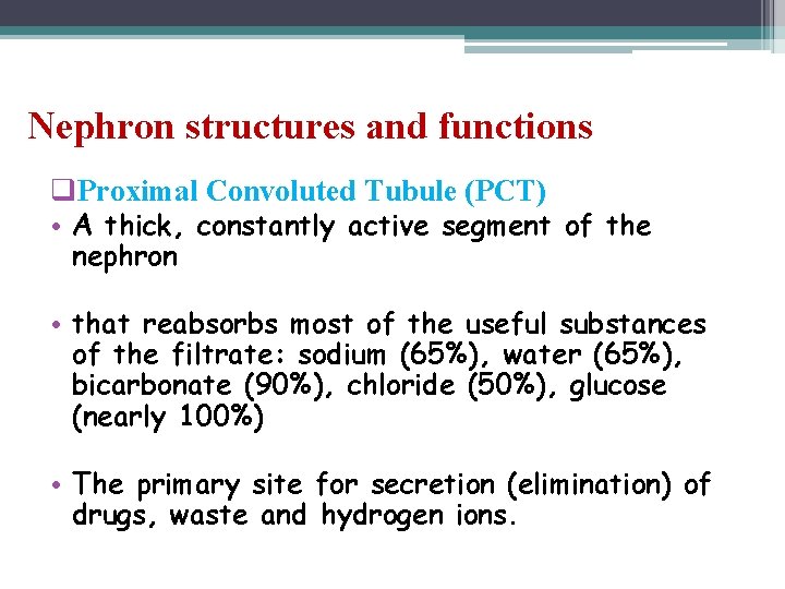Nephron structures and functions q. Proximal Convoluted Tubule (PCT) • A thick, constantly active