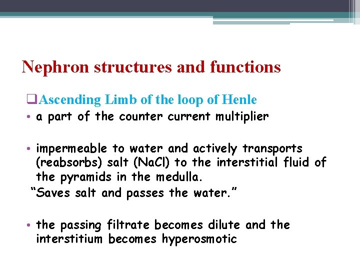 Nephron structures and functions q. Ascending Limb of the loop of Henle • a
