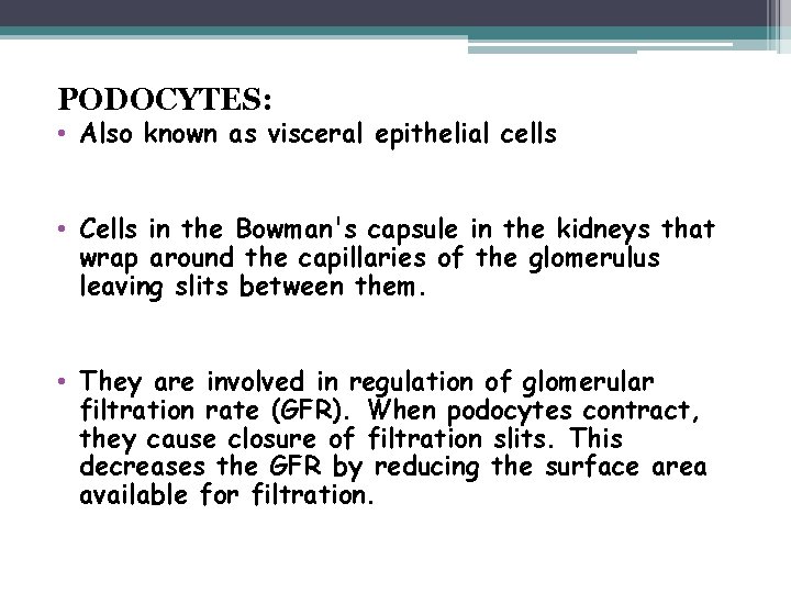 PODOCYTES: • Also known as visceral epithelial cells • Cells in the Bowman's capsule