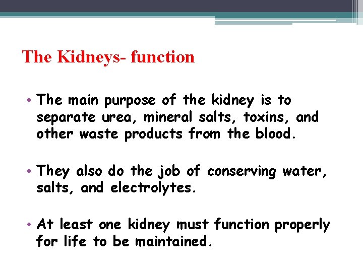 The Kidneys- function • The main purpose of the kidney is to separate urea,