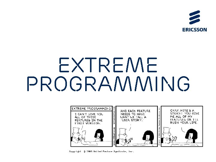 e. Xtreme Programming 