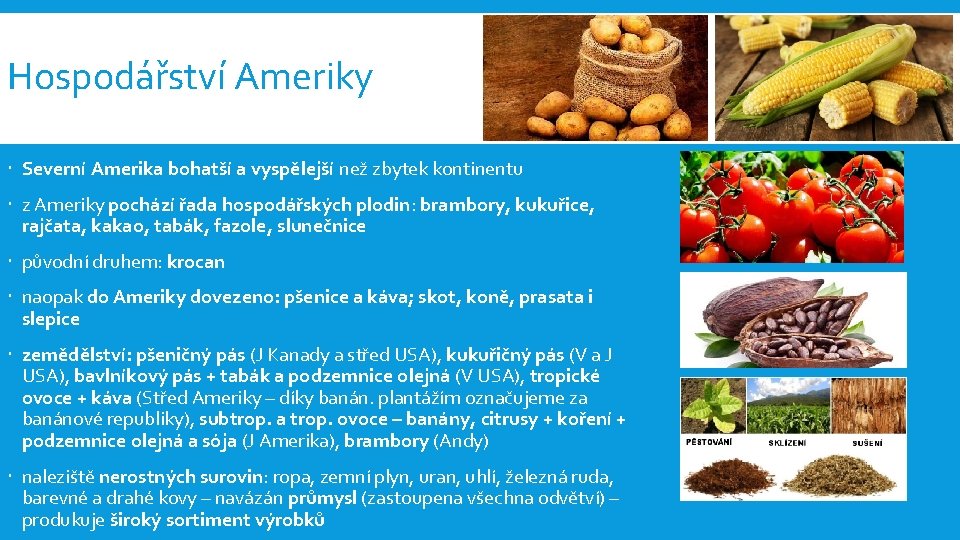 Hospodářství Ameriky Severní Amerika bohatší a vyspělejší než zbytek kontinentu z Ameriky pochází řada