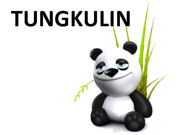 TUNGKULIN 