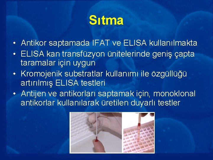 Sıtma • Antikor saptamada IFAT ve ELISA kullanılmakta • ELISA kan transfüzyon ünitelerinde geniş