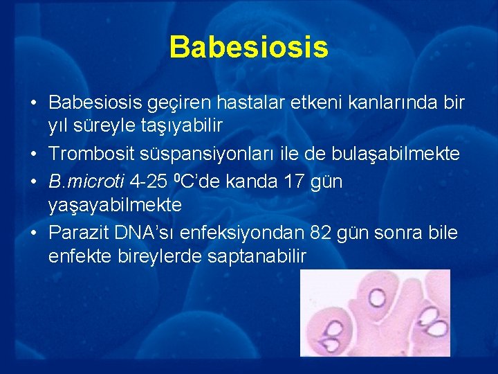 Babesiosis • Babesiosis geçiren hastalar etkeni kanlarında bir yıl süreyle taşıyabilir • Trombosit süspansiyonları