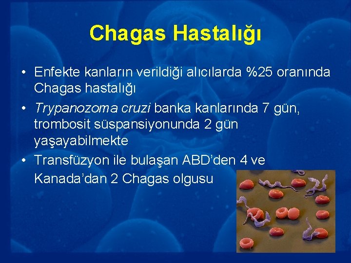 Chagas Hastalığı • Enfekte kanların verildiği alıcılarda %25 oranında Chagas hastalığı • Trypanozoma cruzi