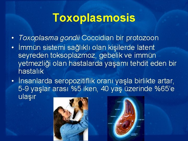 Toxoplasmosis • Toxoplasma gondii Coccidian bir protozoon • İmmün sistemi sağlıklı olan kişilerde latent
