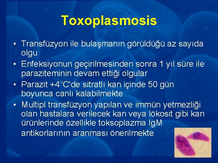 Toxoplasmosis • Transfüzyon ile bulaşmanın görüldüğü az sayıda olgu • Enfeksiyonun geçirilmesinden sonra 1