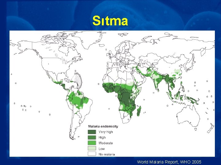 Sıtma World Malaria Report, WHO 2005 