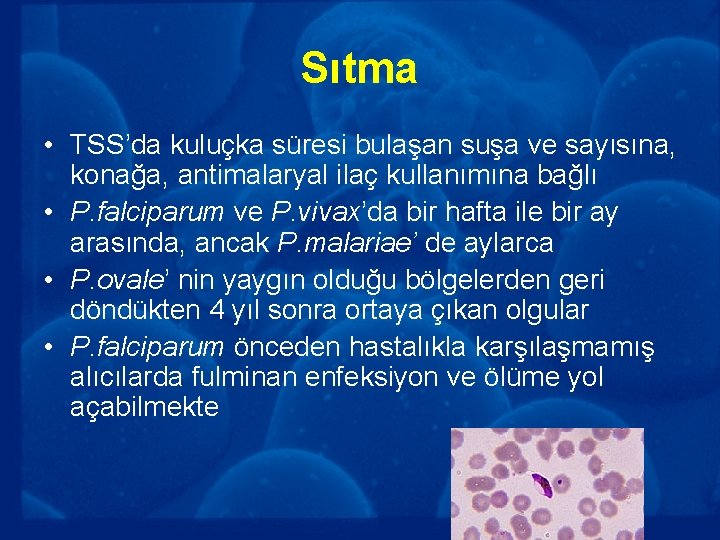 Sıtma • TSS’da kuluçka süresi bulaşan suşa ve sayısına, konağa, antimalaryal ilaç kullanımına bağlı