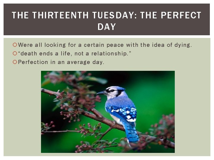 THE THIRTEENTH TUESDAY: THE PERFECT DAY Were all looking for a certain peace with