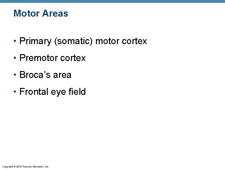 Motor Areas • Primary (somatic) motor cortex • Premotor cortex • Broca’s area •