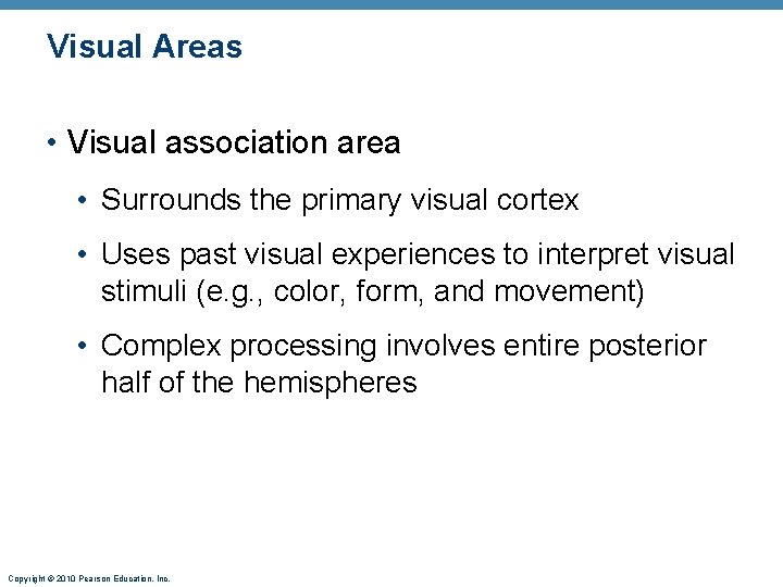 Visual Areas • Visual association area • Surrounds the primary visual cortex • Uses